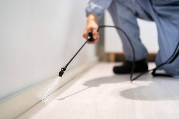 Licensed Pest Control service in Camanche, IA - Show Me Pest Control